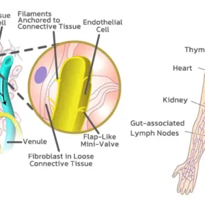 💥Last Day Promotion 60% OFF - 🔥NESLEMY Magnetology Moissanite Diamond Ring💖