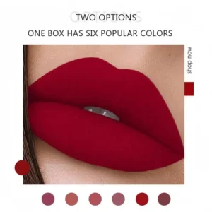 2026 NESLEMY™ Long-Lasting Matte Lip Glaze Set – 6 Colors in One Box