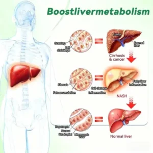 NESLEMY ®𝑴𝒐𝒓𝒊𝒏𝒈𝒂 & 𝑩𝒆𝒓𝒃𝒆𝒓𝒊𝒏𝒆 20-𝑰𝑵-1 𝑨𝒅𝒗𝒂𝒏𝒄𝒆𝒅 𝑵𝒂𝒏𝒐 𝑴𝒊𝒄𝒓𝒐𝒏𝒆𝒆𝒅𝒍𝒆 𝑷𝒂𝒕𝒄𝒉