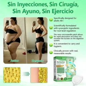 RISARISA® 𝐏𝐚𝐫𝐜𝐡𝐞 𝐝𝐞 𝐌𝐢𝐜𝐫𝐨𝐚𝐠𝐮𝐣𝐚𝐬 𝐍𝐚𝐧𝐨 𝐝𝐞 𝐍𝐀𝐃+ 𝐲 𝐁𝐞𝐫𝐛𝐞𝐫𝐢𝐧𝐚 – 𝐑𝐞𝐦𝐨𝐝𝐞𝐥𝐚𝐜𝐢ó𝐧 𝐂𝐨𝐫𝐩𝐨𝐫𝐚𝐥