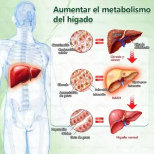 𝑫𝑶𝑻𝑨𝑳𝑬® Parche de Microagujas Nano Avanzado 10 en 1 con Moringa Berberina y NAD+