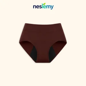 Thanksgiving Sale 70% OFF Ends Today！|NESLEMY™ LBMLBM™  100% Leak-Proof Underwear 4-pack
